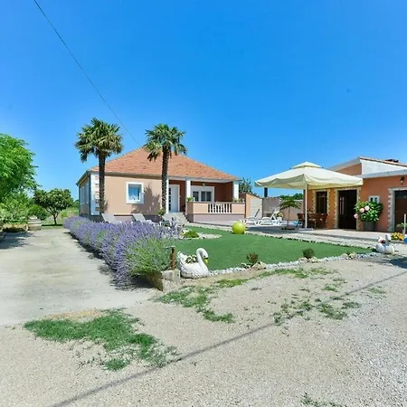 Meri Comfortable * بنكوفاتش